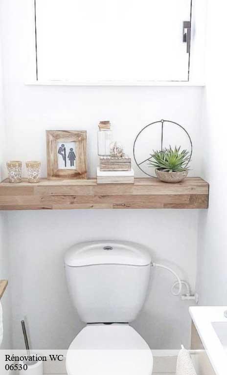 renovation-wc-afd-azur-renove-2