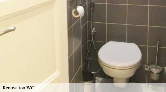 renovation-wc-afd-azur-renove-3