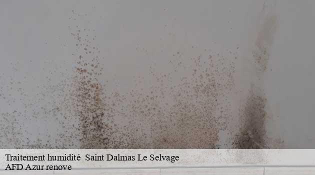 traitement-humidite-afd-azur-renove-4