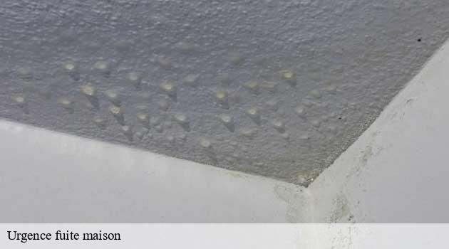 urgence-fuite-maison-afd-azur-renove-3